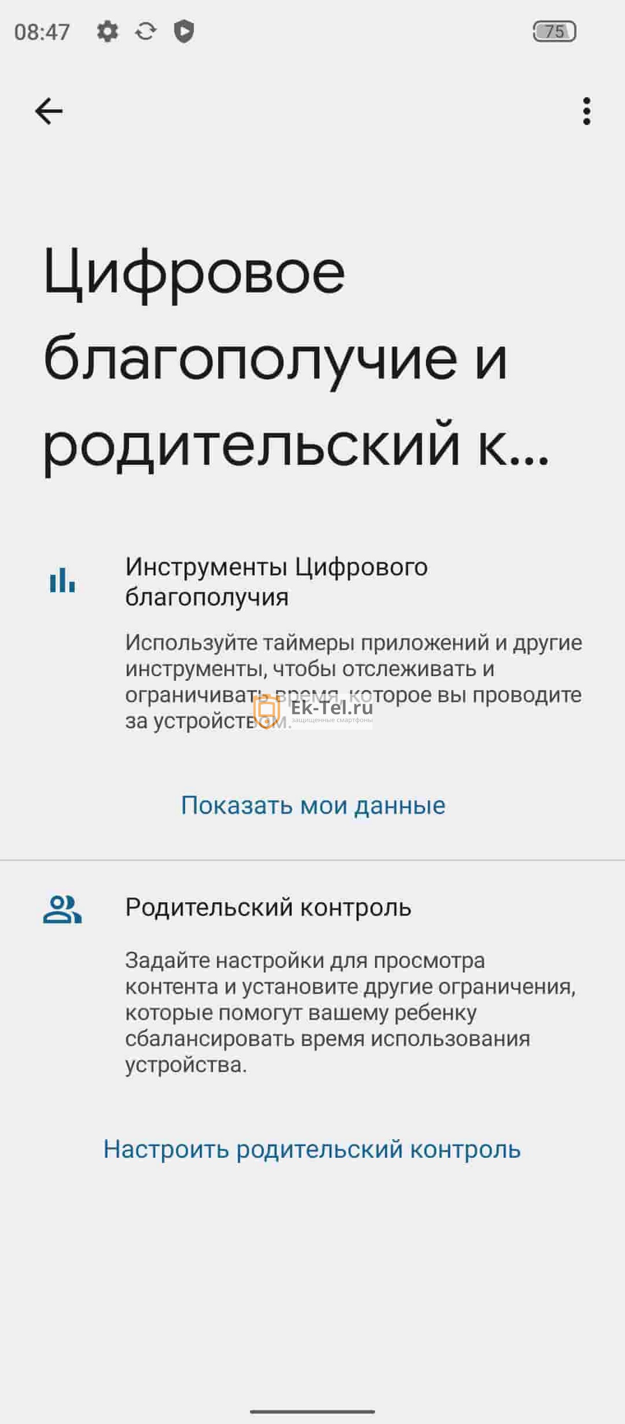 Цифровое блогополучие на смартфоне Oukitel WP19